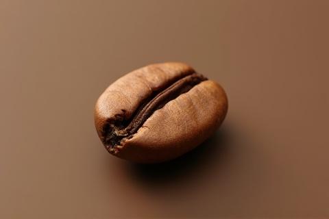 Macro shot of a single coffee bean